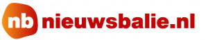 Logo Nieuwsbalie.nl